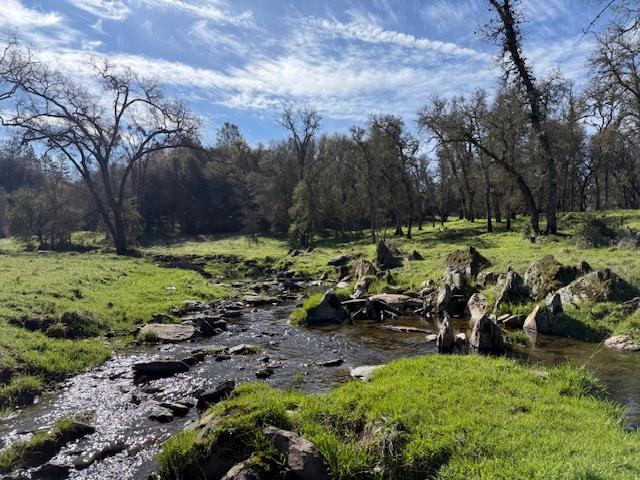 3 Shinn Ranch Road El Dorado, CA 95623 - Photo 3 of 28 a view of a park with large trees