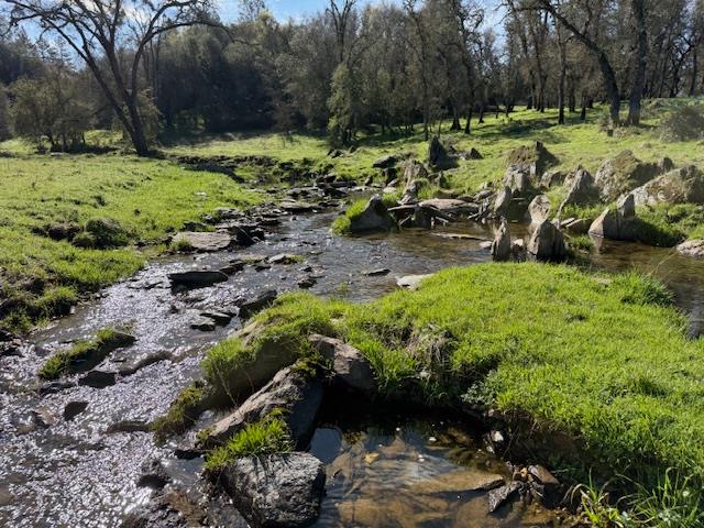 3 Shinn Ranch Road El Dorado, CA 95623 - Photo 4 of 28 a view of a garden with large trees