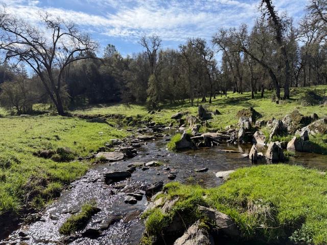 3 Shinn Ranch Road El Dorado, CA 95623 - Photo 5 of 28 a view of a park with lots of plants and trees
