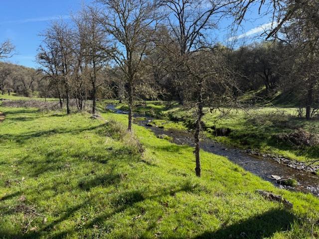 3 Shinn Ranch Road El Dorado, CA 95623 - Photo 6 of 28 a backyard of a house with lots of green space