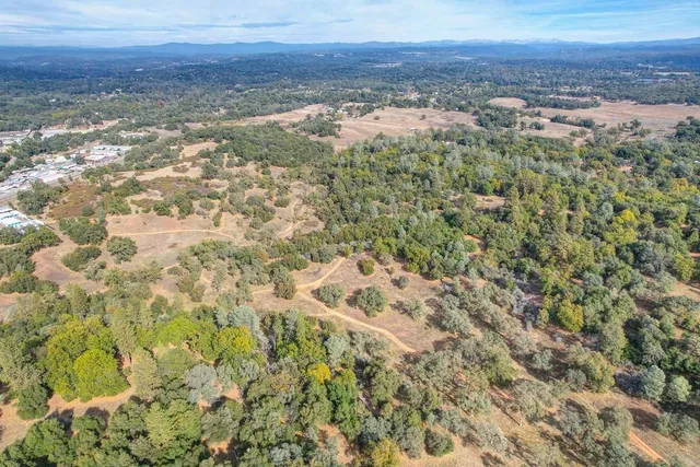 a view of a forest with a forest