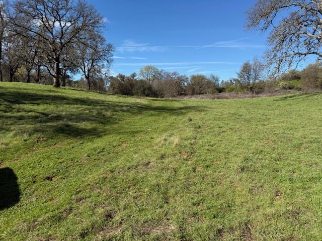 3 Shinn Ranch Road El Dorado, CA 95623 - Photo 7 of 28 a view of a field with an trees