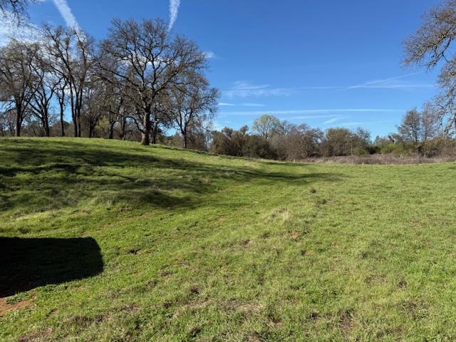 3 Shinn Ranch Road El Dorado, CA 95623 - Photo 8 of 28 a view of a field with an trees