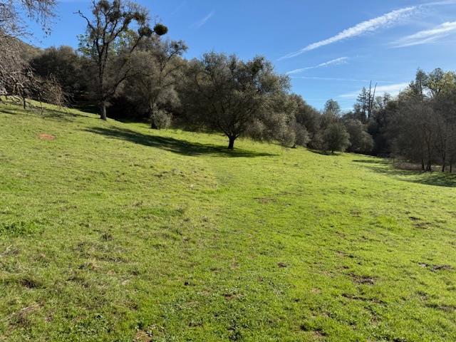 3 Shinn Ranch Road El Dorado, CA 95623 - Photo 9 of 28 a view of outdoor space with garden