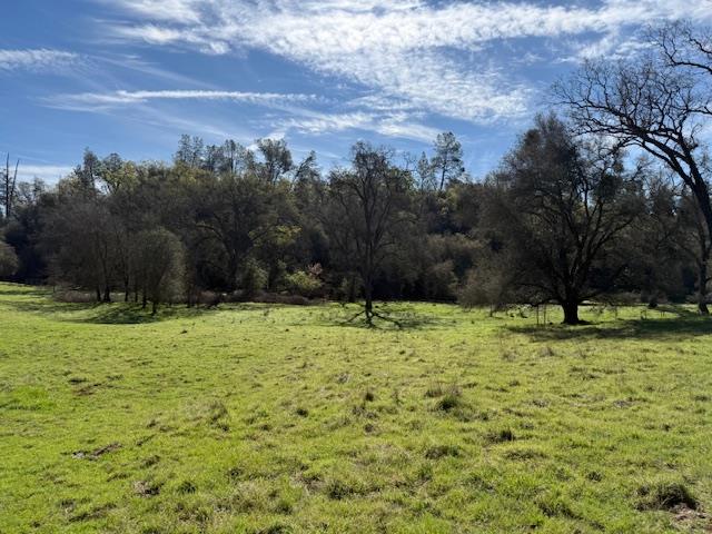 3 Shinn Ranch Road El Dorado, CA 95623 - Photo 10 of 28 a backyard of a house with lots of green space