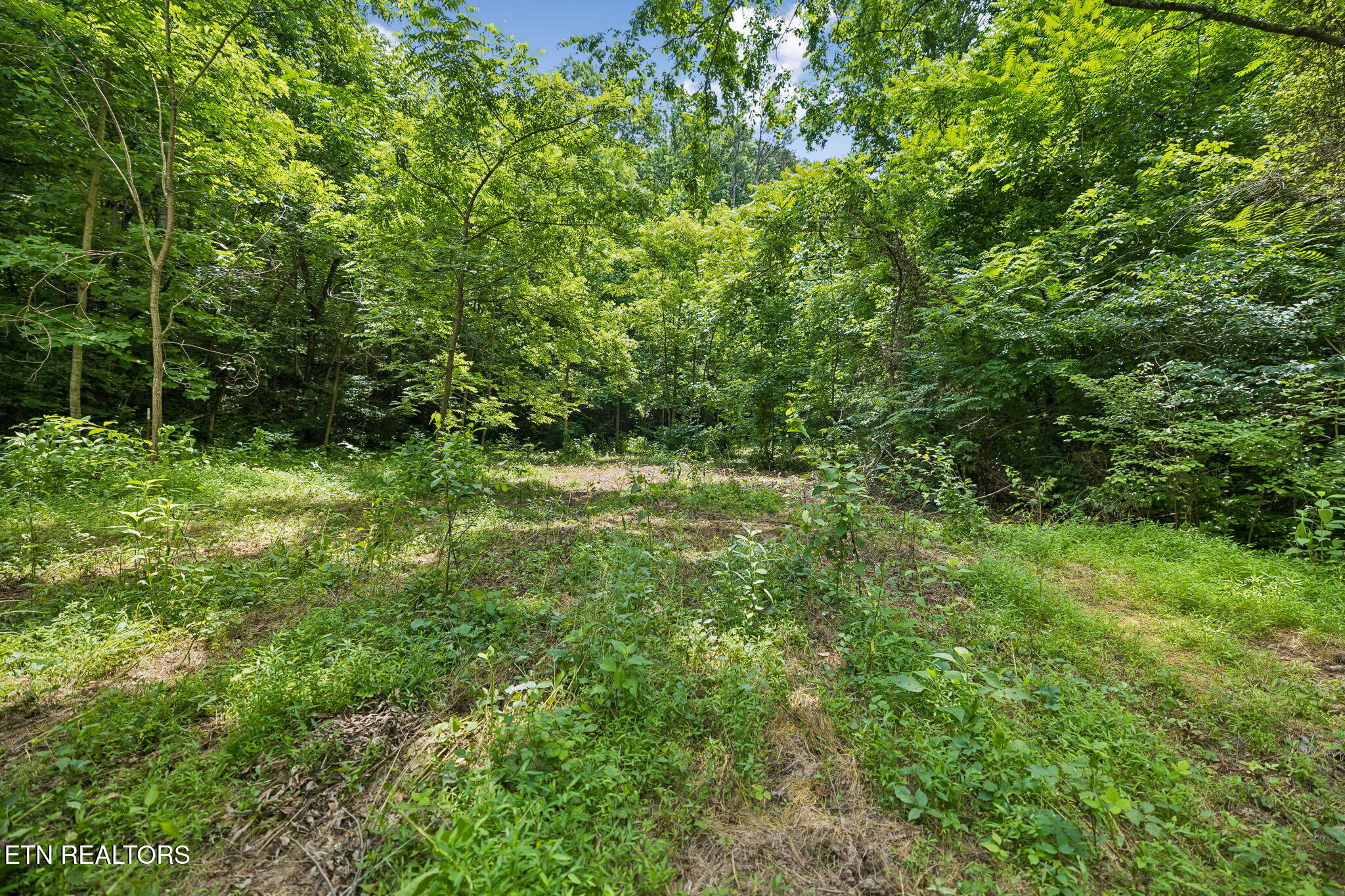 Knob Road Rutledge, TN 37861 - Photo 12 of 46 5-344 Knob Rd - 005