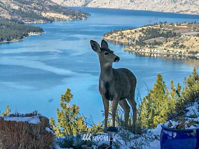 1445 Bear Mountain Road Chelan, WA 98816 - Photo 32 of 39 Gallery Image 32