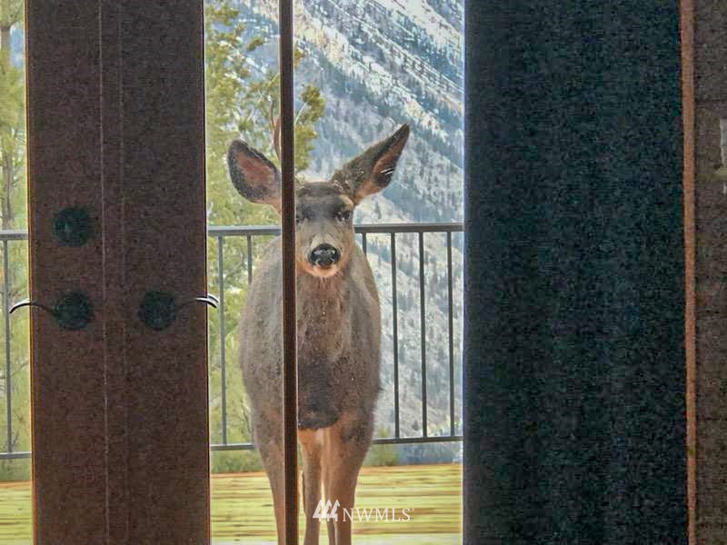 1445 Bear Mountain Road Chelan, WA 98816 - Photo 35 of 39 Gallery Image 35
