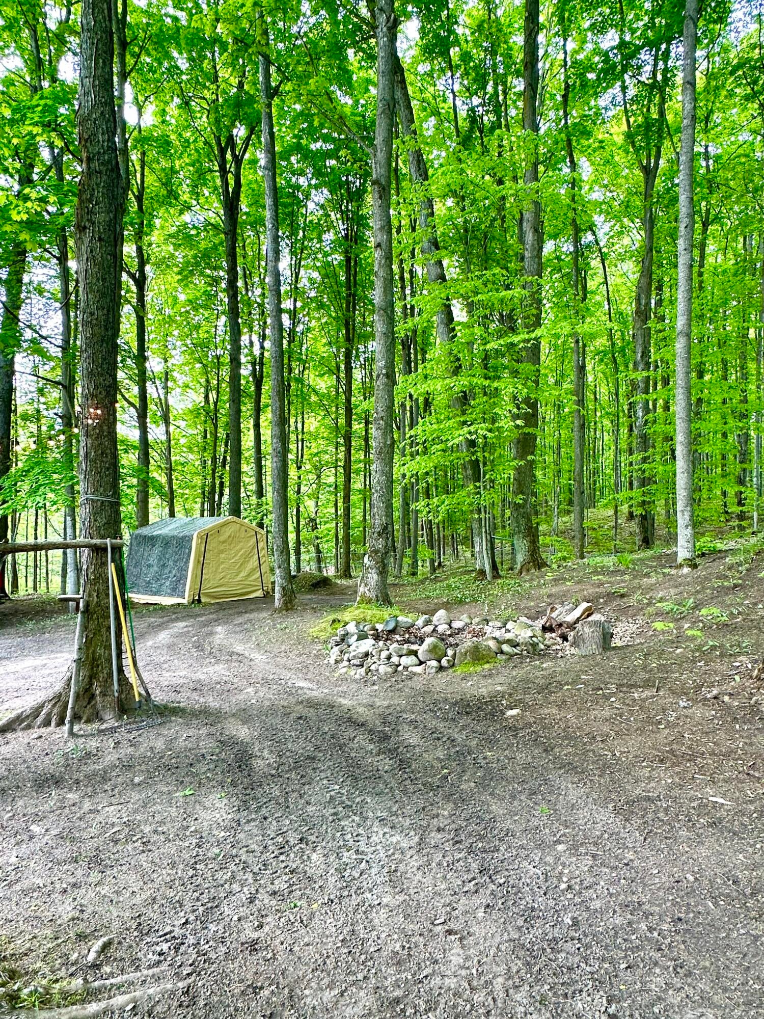 9090 Strilecky Road Atlanta, MI 49709 - Photo 32 of 55 Gallery Image 32