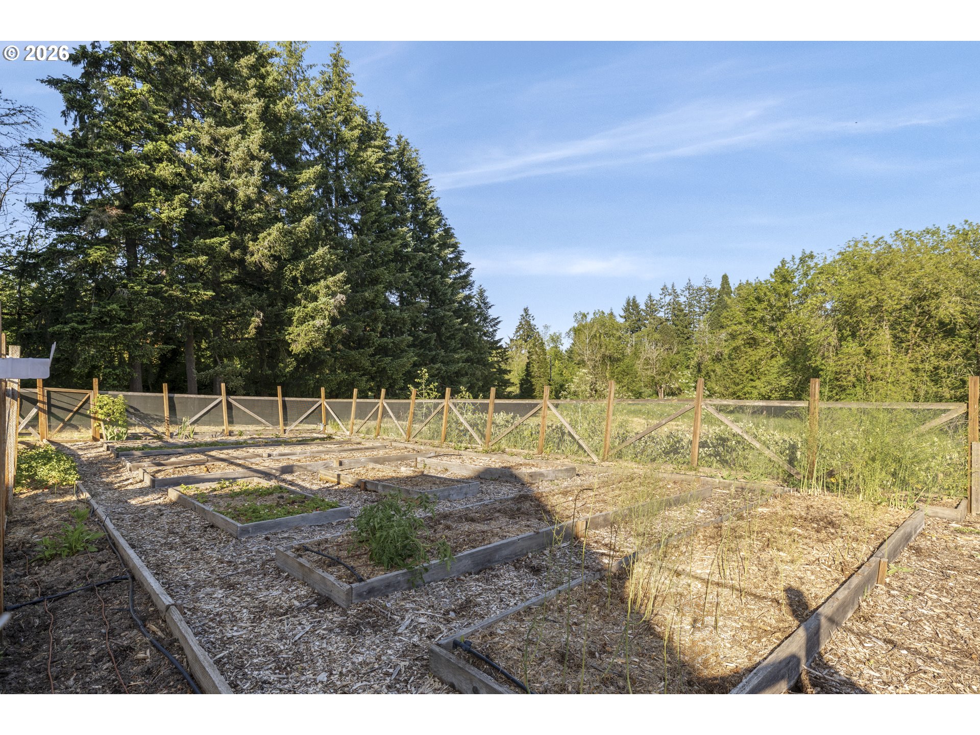 4515 Cordon Road Northeast Salem, OR 97305 - Photo 31 of 48 a view of a backyard of the house