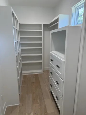 a view of a trees in a yard