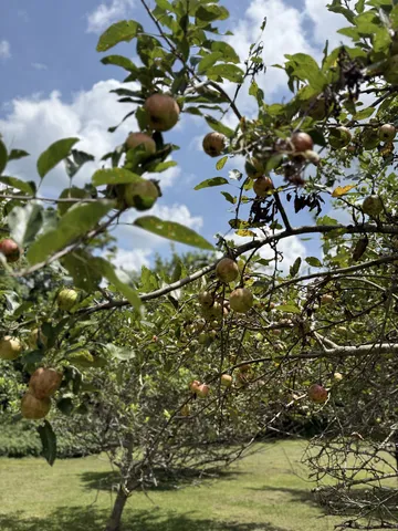 $749,900 | 2145 Honey Prong Road, Hartsville, TN 37074