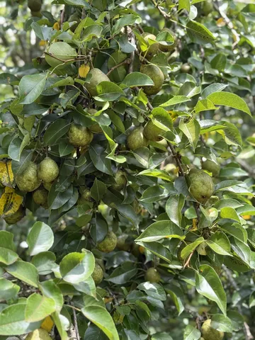 $749,900 | 2145 Honey Prong Road, Hartsville, TN 37074