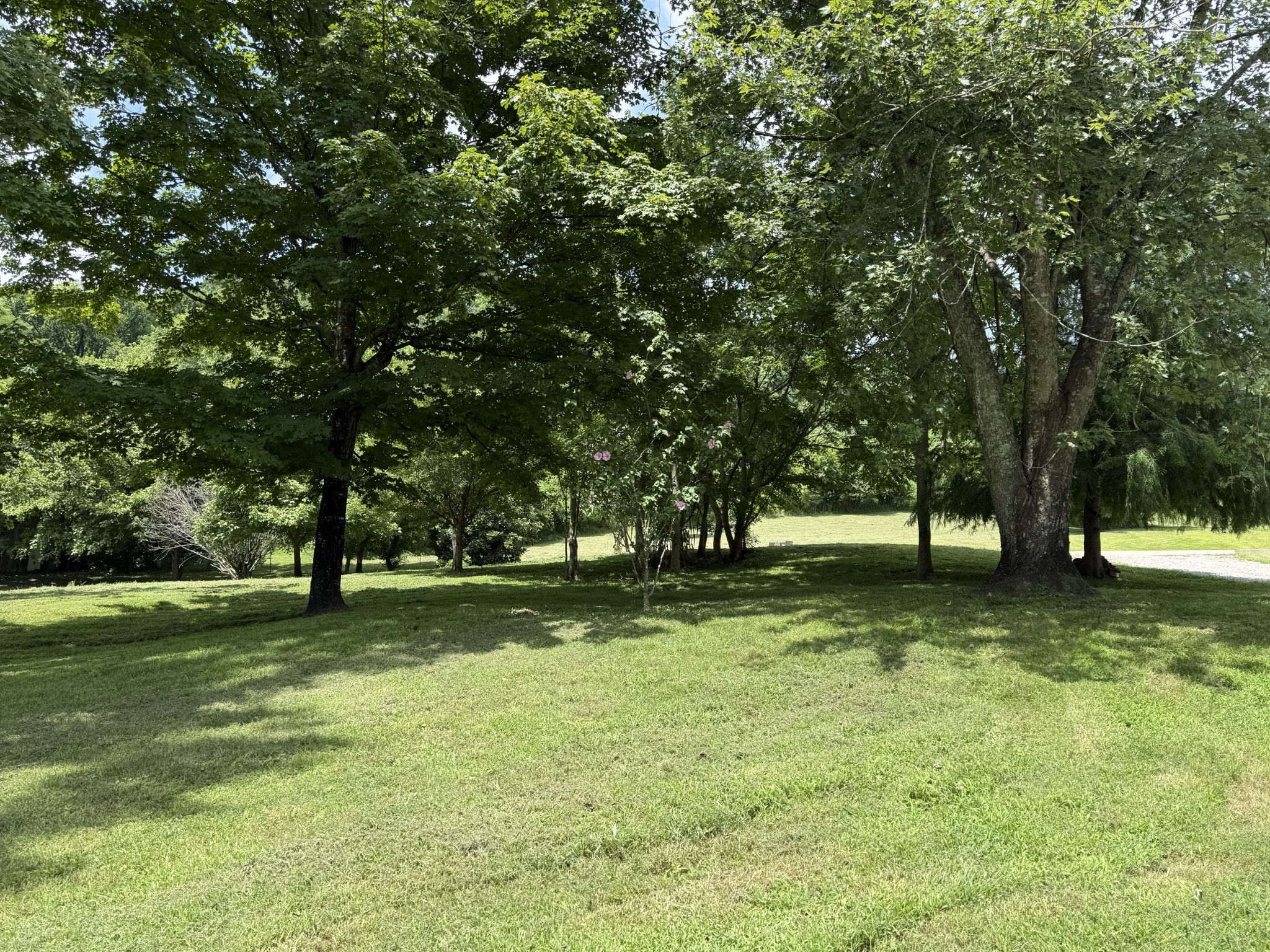 2145 Honey Prong Road Hartsville, TN 37074 - Photo 82 of 99 a view of a trees in a yard
