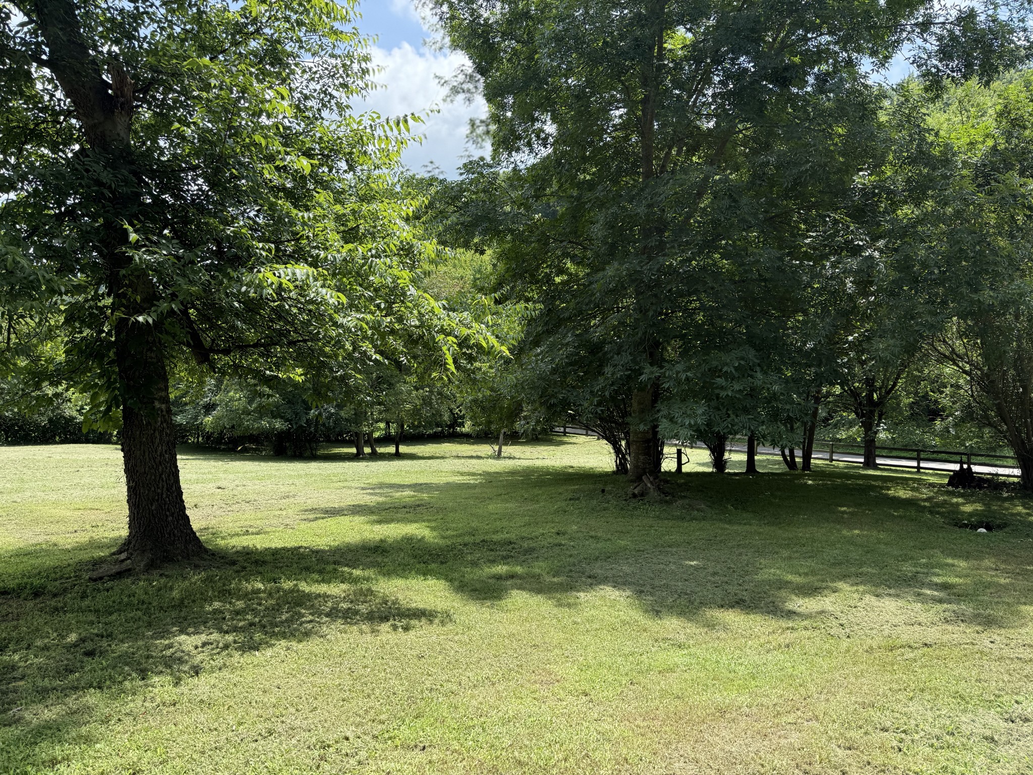 2145 Honey Prong Road Hartsville, TN 37074 - Photo 85 of 99 a view of a trees with a big yard