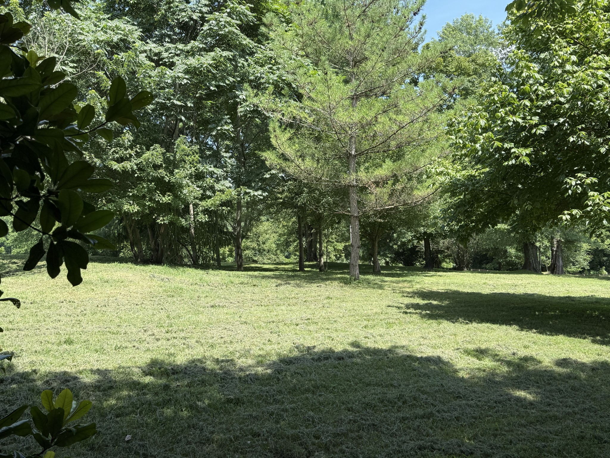 2145 Honey Prong Road Hartsville, TN 37074 - Photo 88 of 99