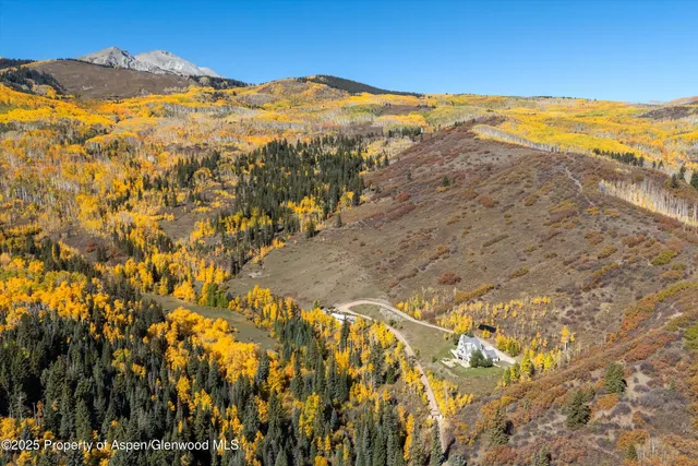 a view of a hallway with entryway wooden floor and front door