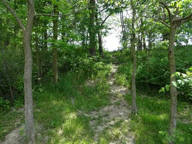 9030 McComb Road Churubusco, IN 46723 - Photo 28 of 30 Gallery Image 28