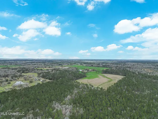 $800,000 | 43 Parcel 1 And 2, Picayune, MS 39466