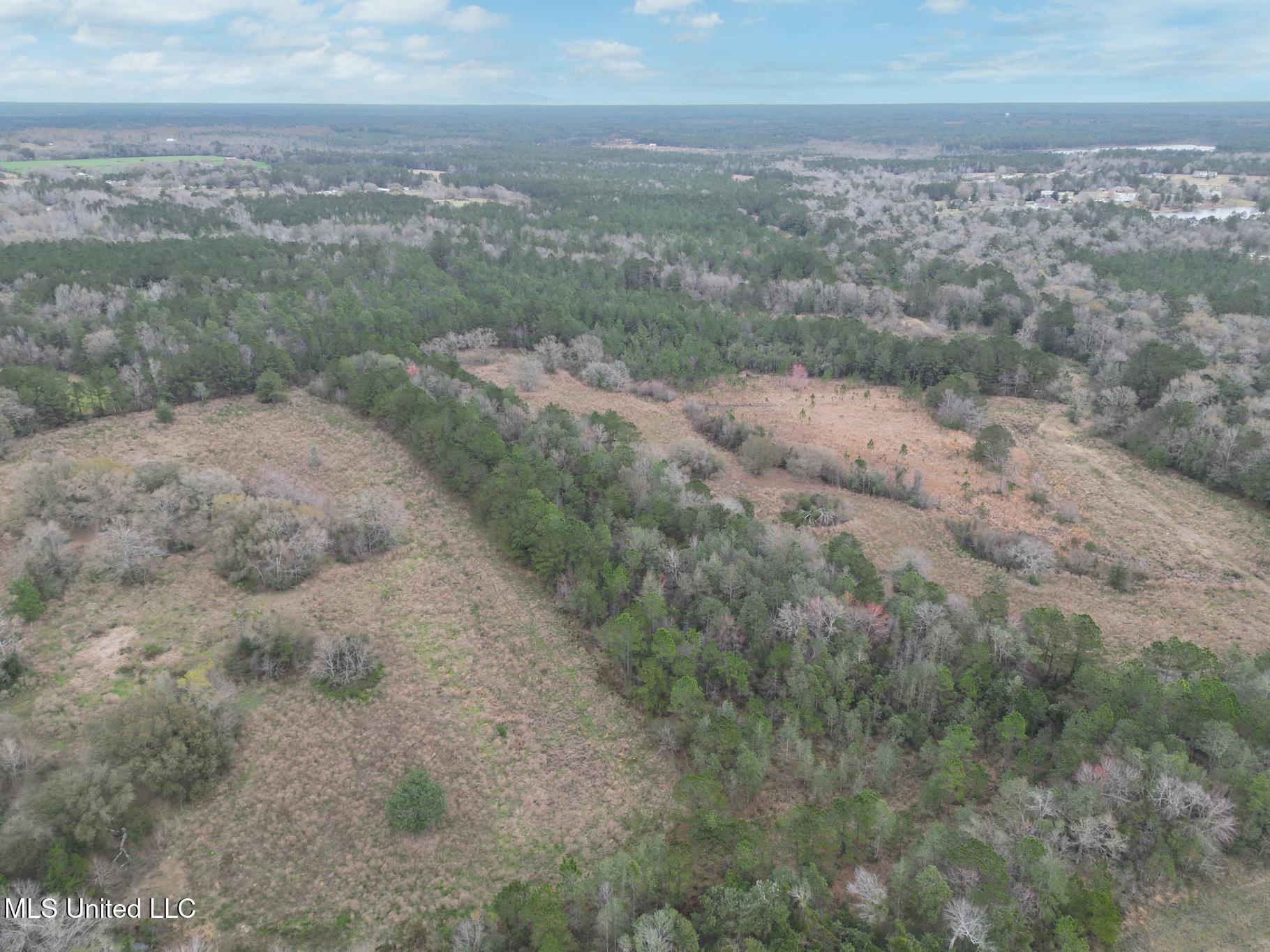 43 Parcel 1 And 2 Picayune, MS 39466 - Photo 4 of 11 Hwy 43 acres