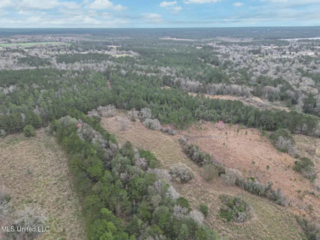 $885,000 | 43 Parcel 1 And 2, Picayune, MS 39466