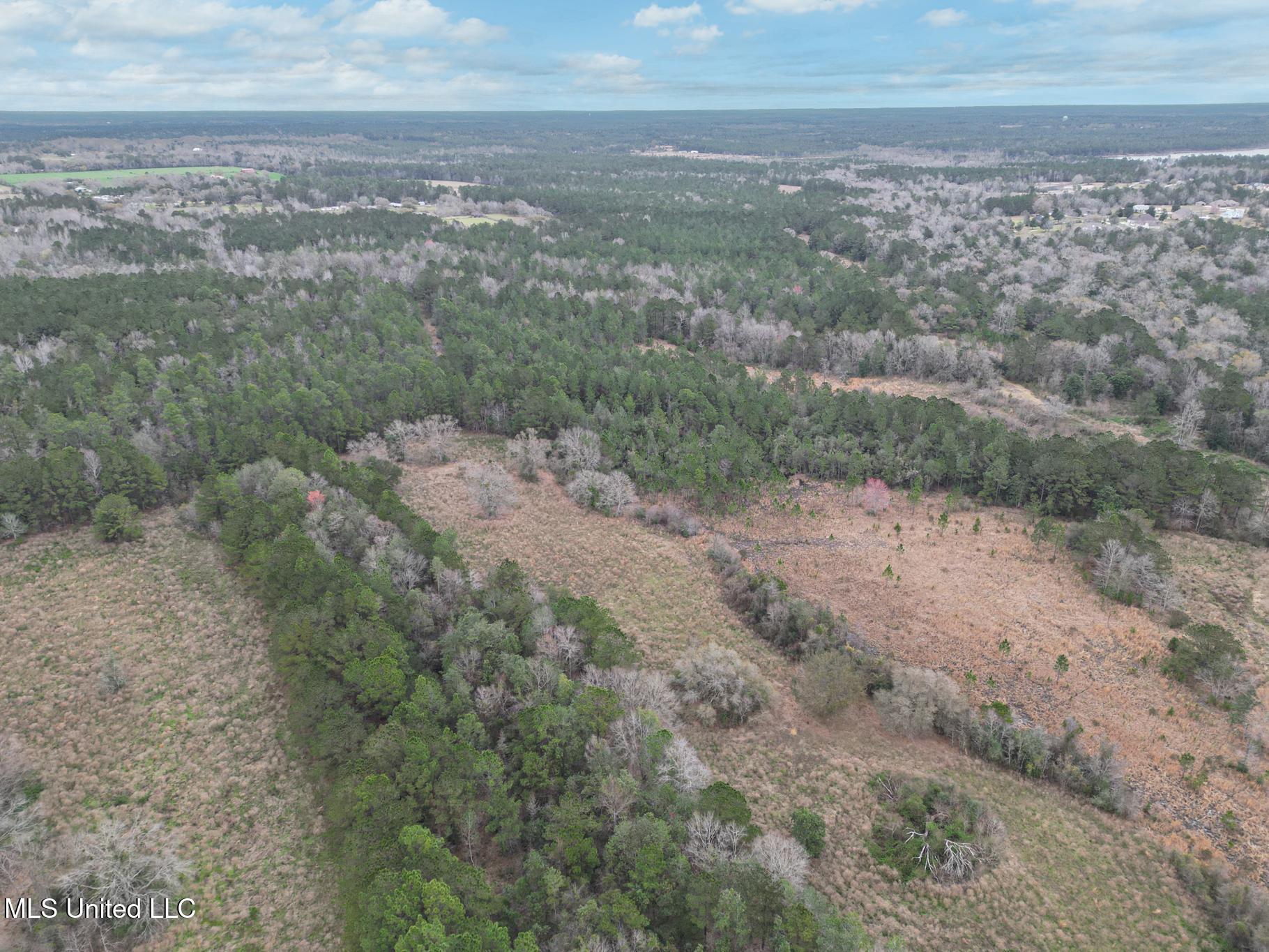 43 Parcel 1 And 2 Picayune, MS 39466 - Photo 5 of 11 Hwy 43 acres