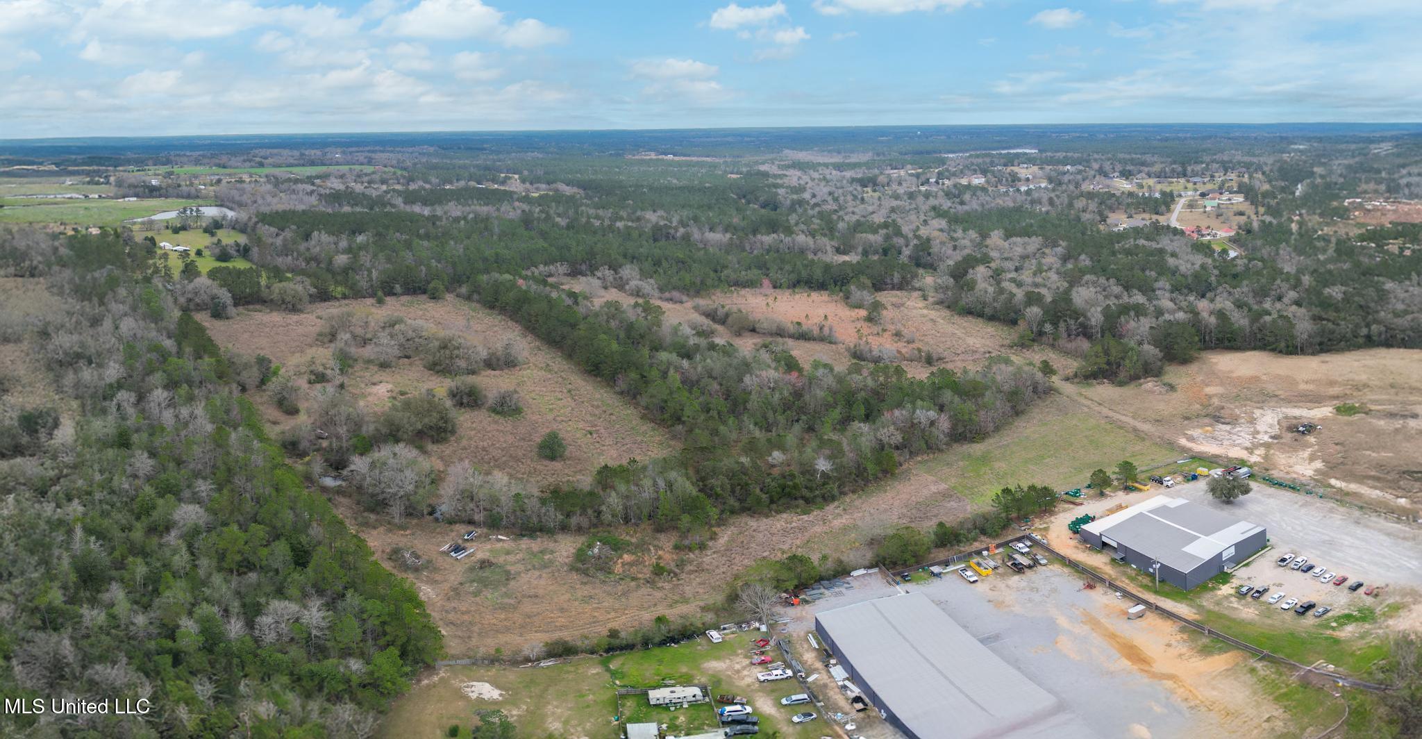 43 Parcel 1 And 2 Picayune, MS 39466 - Photo 7 of 11 Hwy 43 acres