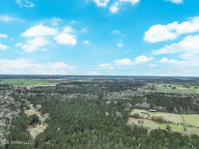 $885,000 | 43 Parcel 1 And 2, Picayune, MS 39466