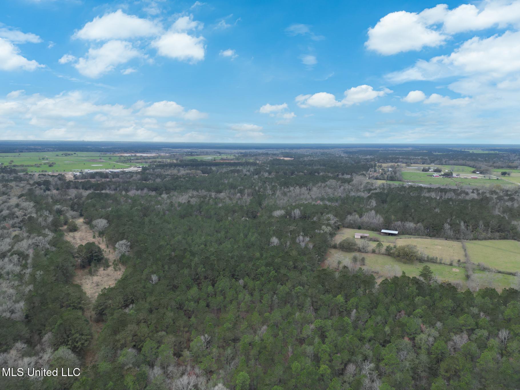 43 Parcel 1 And 2 Picayune, MS 39466 - Photo 9 of 11 Hwy 43 acres