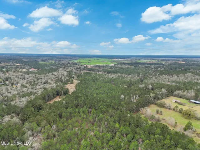 $885,000 | 43 Parcel 1 And 2, Picayune, MS 39466