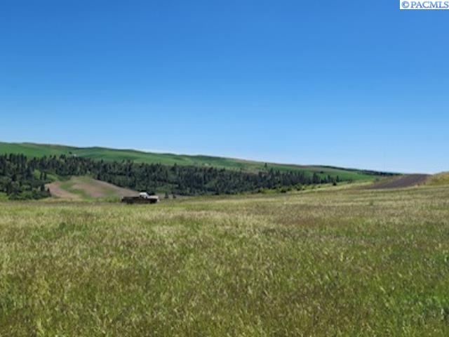 Lot 9 Red Tail Ridge Road Colfax, WA 99111 - Photo 6 of 6 Gallery Image 6