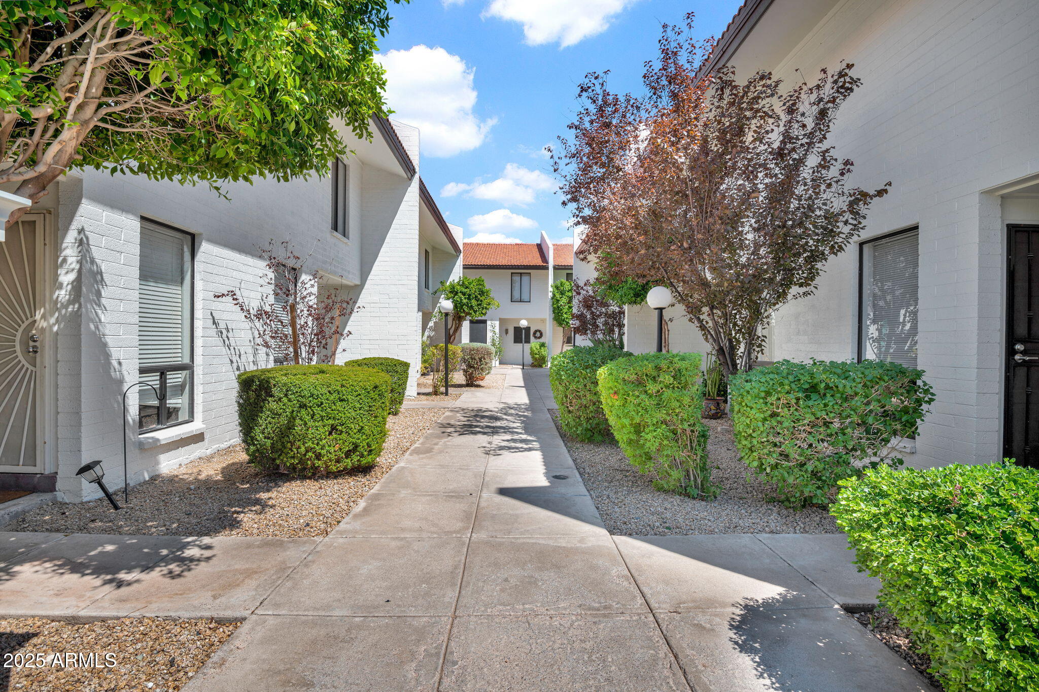 a view of a garden with pathway