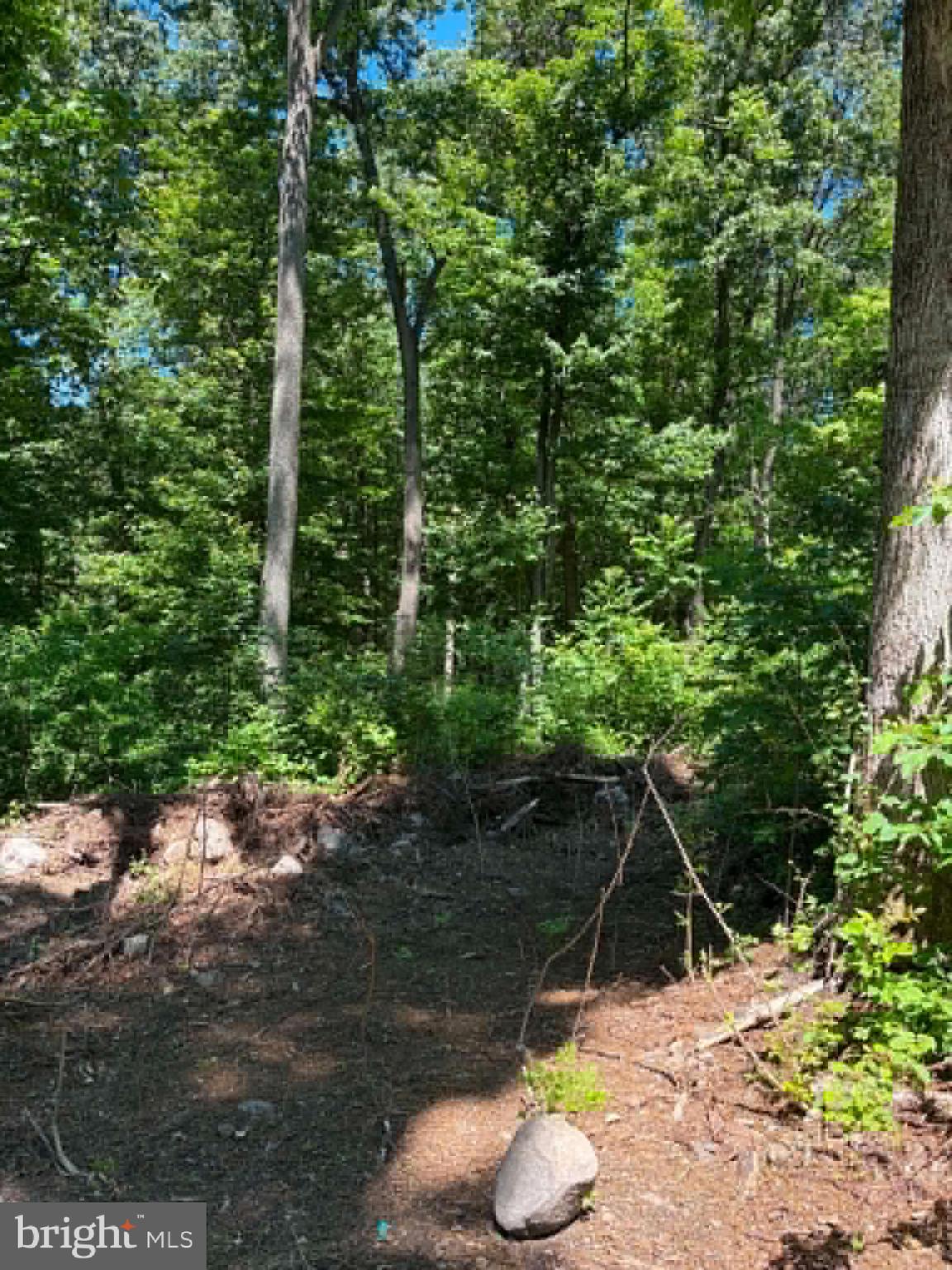 51 Cabin Road Augusta, WV 26704 - Photo 3 of 19