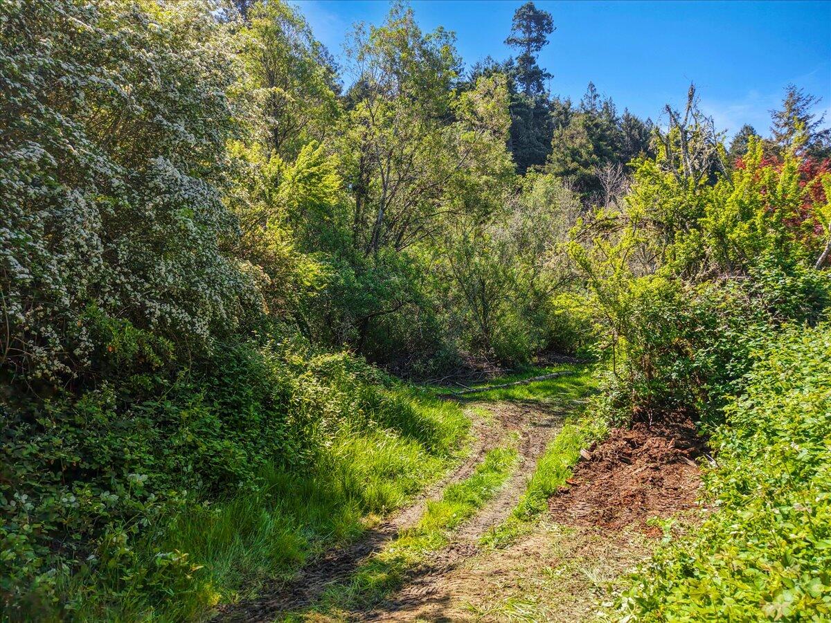 1960 Freshwater Road Eureka, CA 95503 - Photo 49 of 55