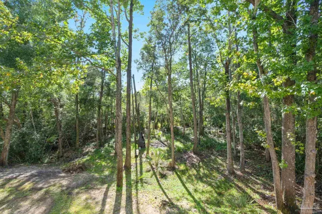 a backyard of a house with lots of green space