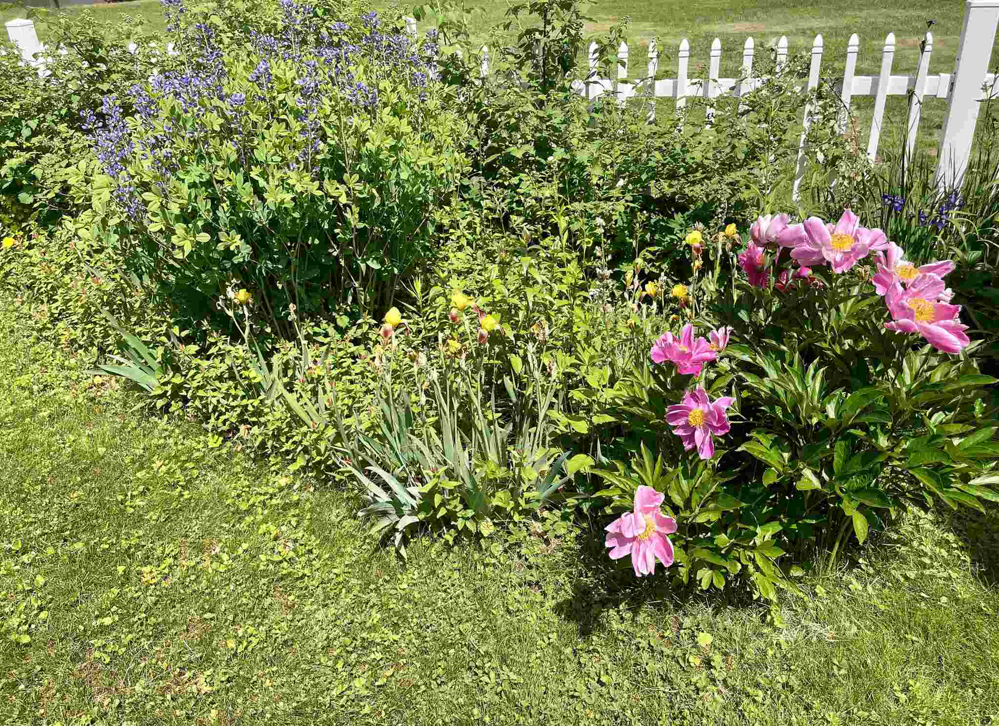 204 Indian Point Street Newport, VT 05855 - Photo 21 of 22 Gallery Image 21