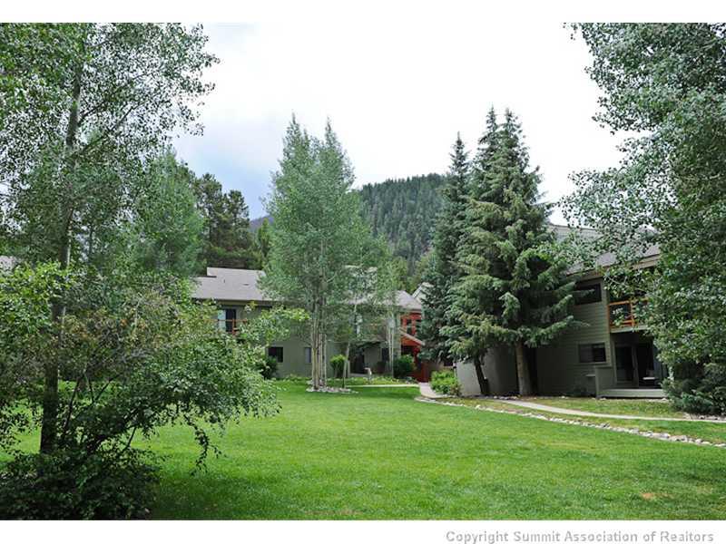 1977 Soda Ridge Road, Unit 1212 Keystone, CO 80435 - Photo 19 of 25 a front view of a house with a yard and trees