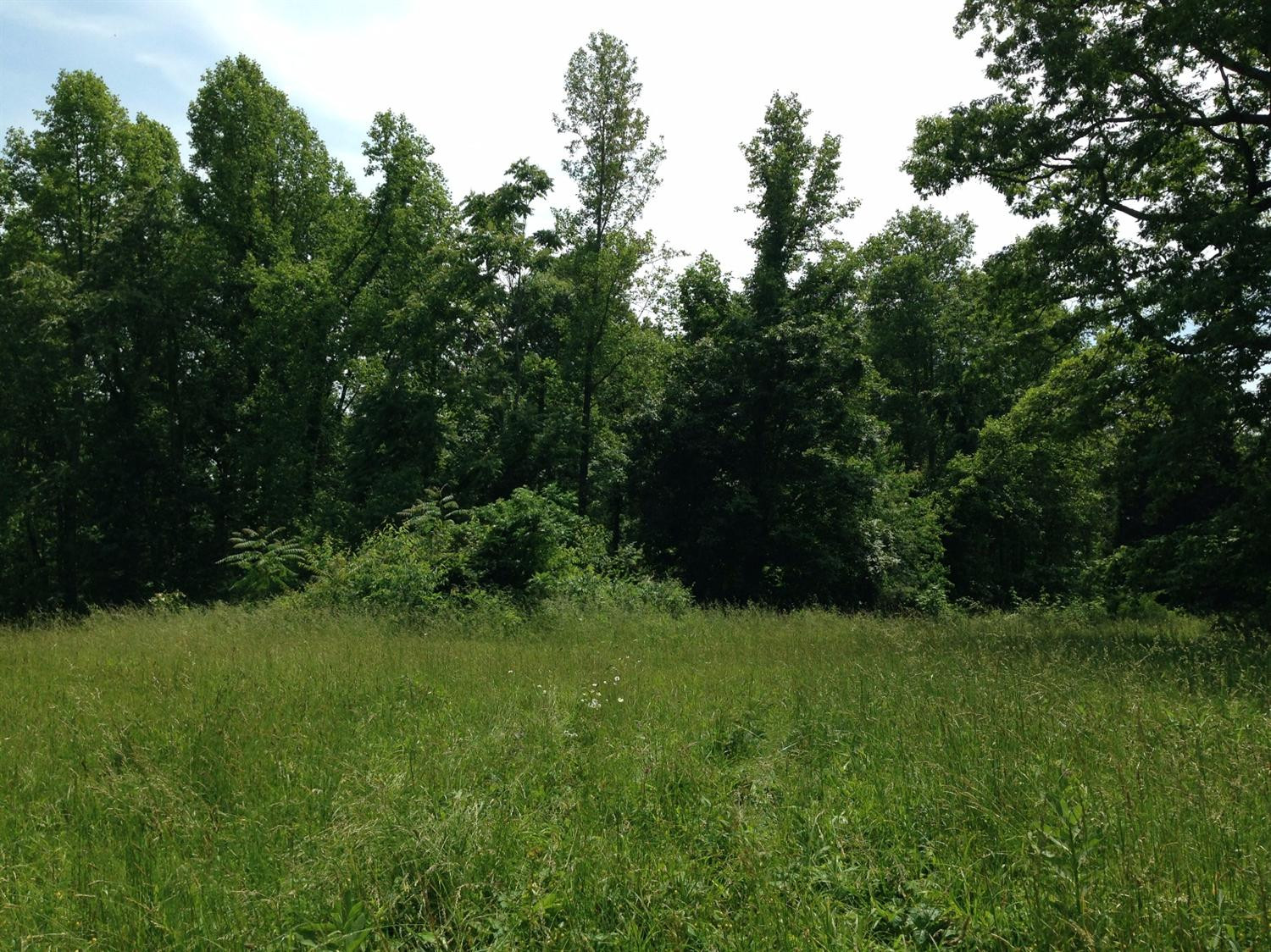 9999 South Hollin Road Tyner, KY 40486 - Photo 6 of 10 Photo 6