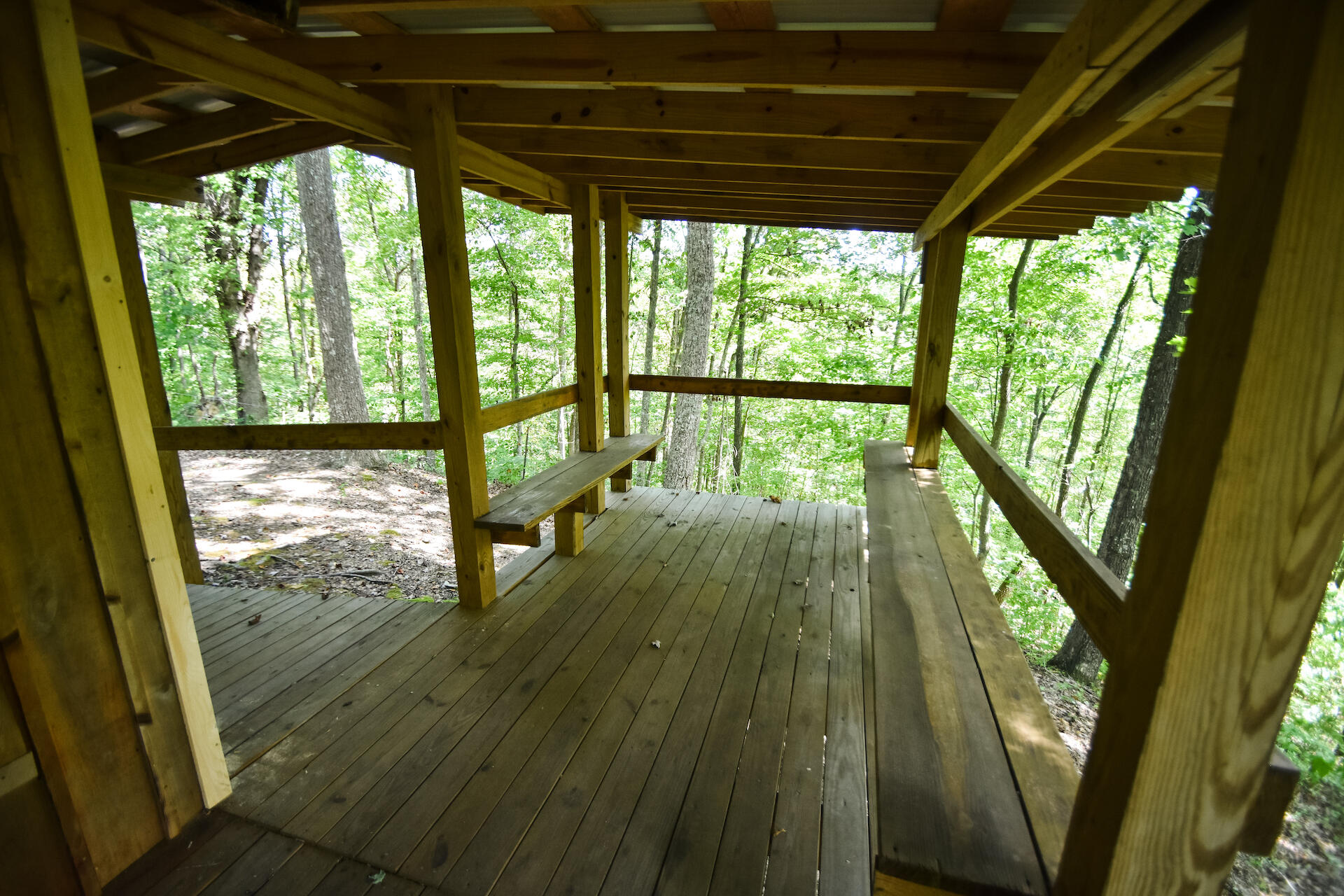 0 Carpenter Ridge Road Sandgap, KY 40481 - Photo 13 of 36 DSC_2094
