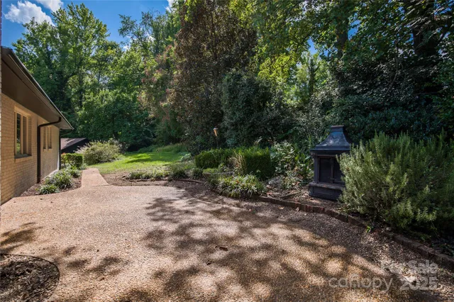 an aerial view of a forest