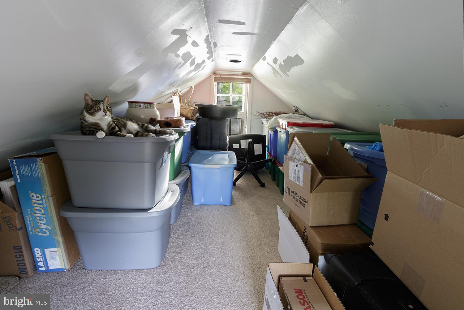 52 Church Street Medford, NJ 08055 - Photo 18 of 29