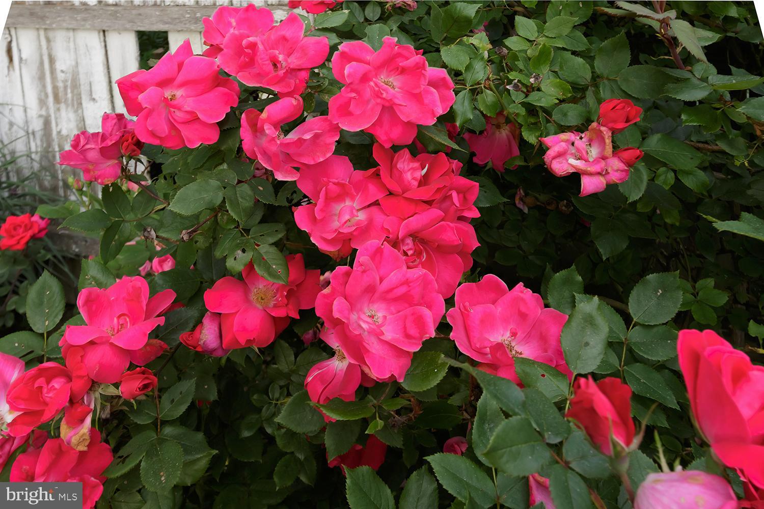 52 Church Street Medford, NJ 08055 - Photo 27 of 29