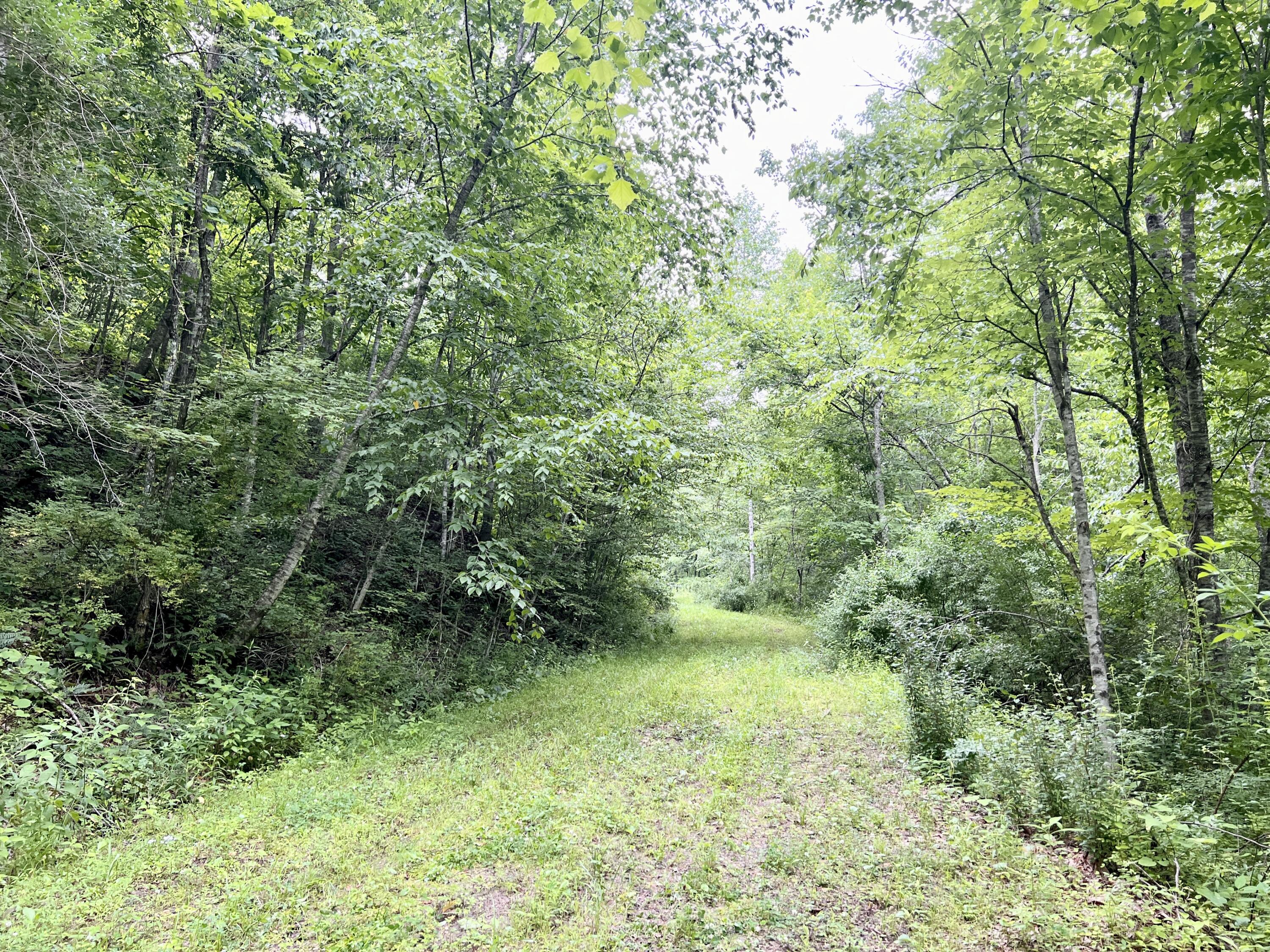 0 Fannin-Roscoe Road Sandy Hook, KY 41171 - Photo 2 of 15 IMG_9217