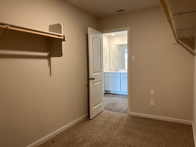 311 Darwin Place Lockhart, TX 78644 - Photo 10 of 16 Primary walk in closet, different angle
