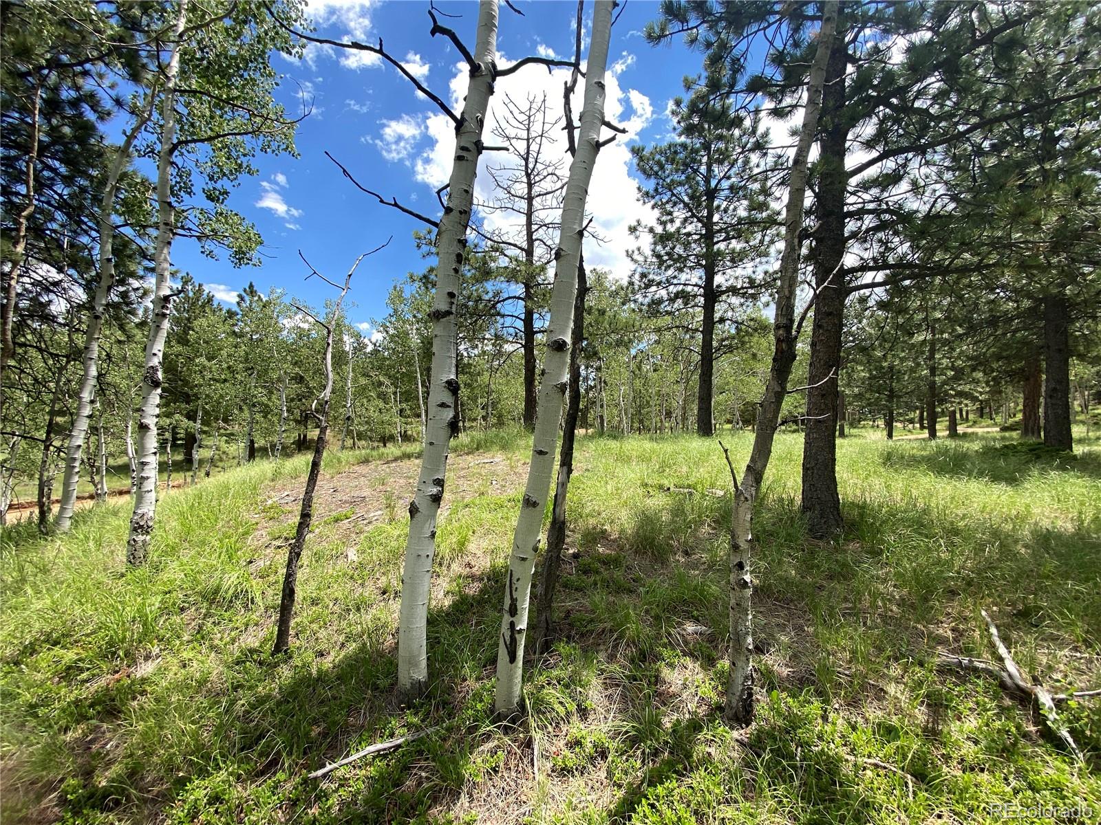 179 Summit Road Manitou Springs, CO 80829 - Photo 3 of 17