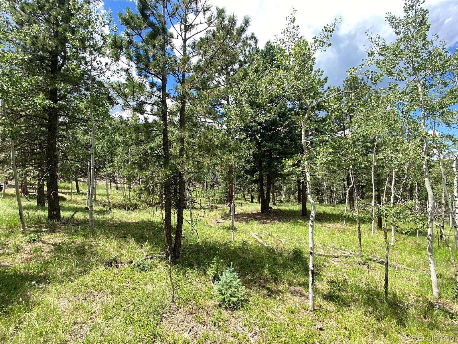 179 Summit Road Manitou Springs, CO 80829 - Photo 8 of 17