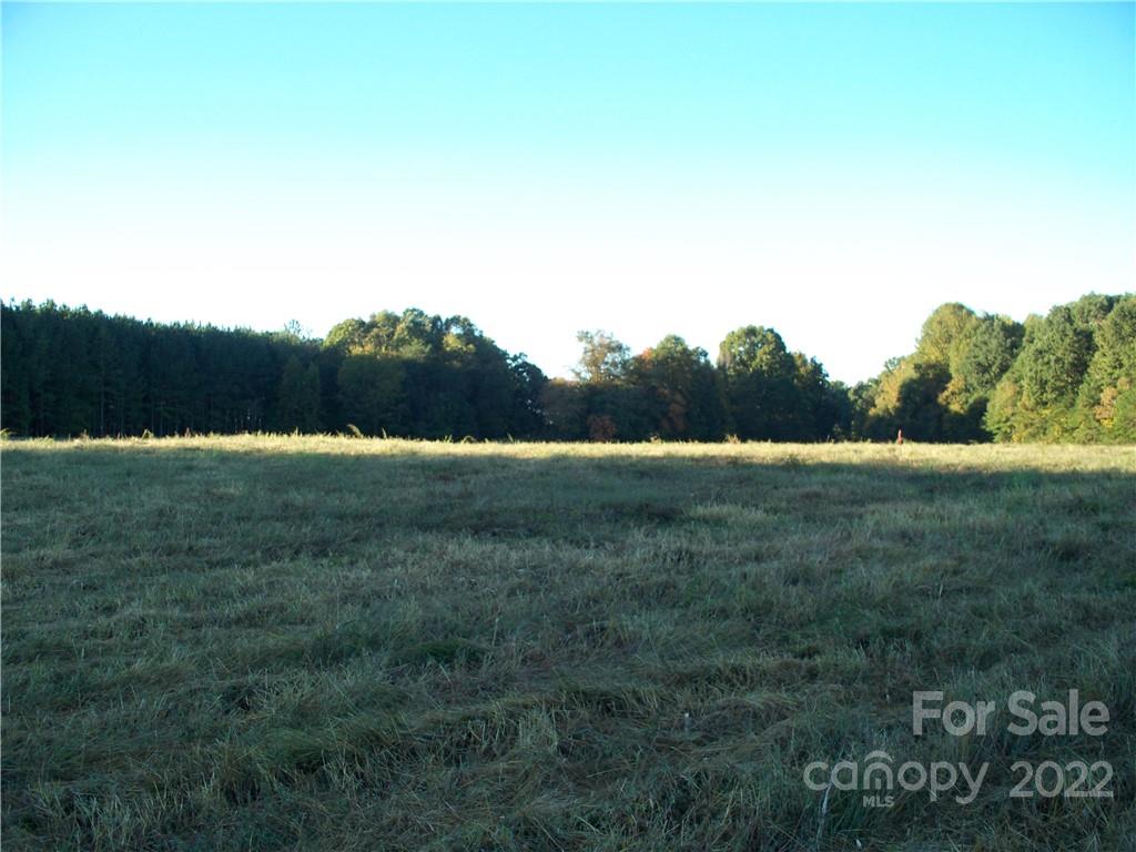 0 Crouse Road, Unit 1 Crouse, NC 28033 - Photo 9 of 9 a view of a field with trees in background