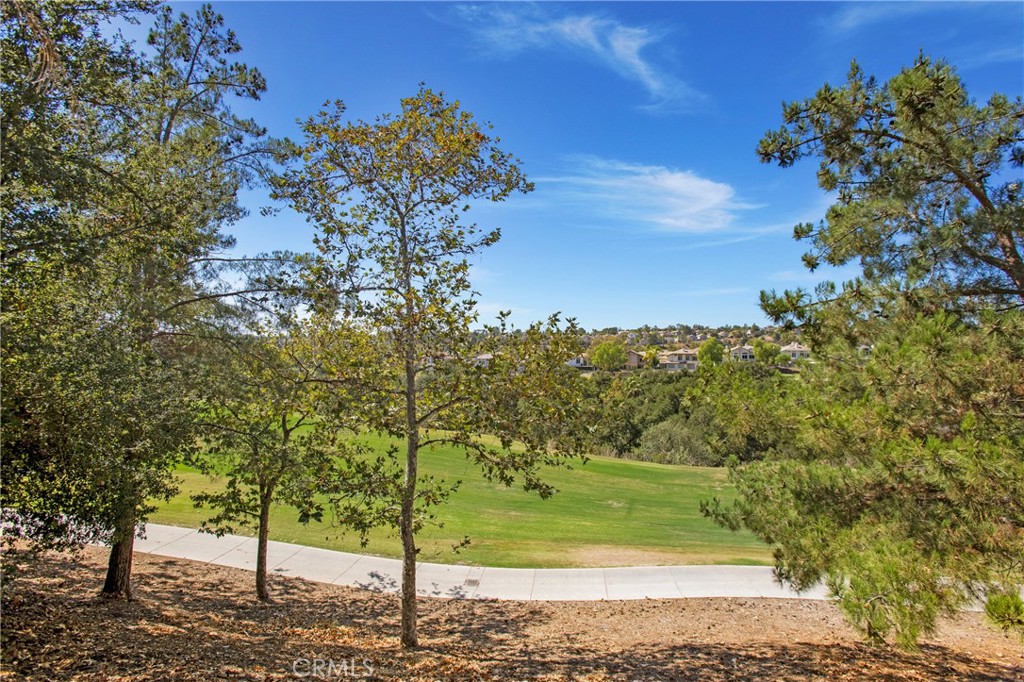49 Golf Ridge Drive Rancho Santa Margarita, CA 92679 - Photo 42 of 56