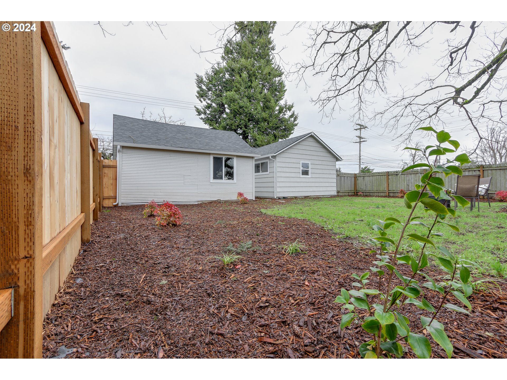 1467 Main Street Springfield, OR 97477 - Photo 28 of 29 a backyard of a house with plants and large tree