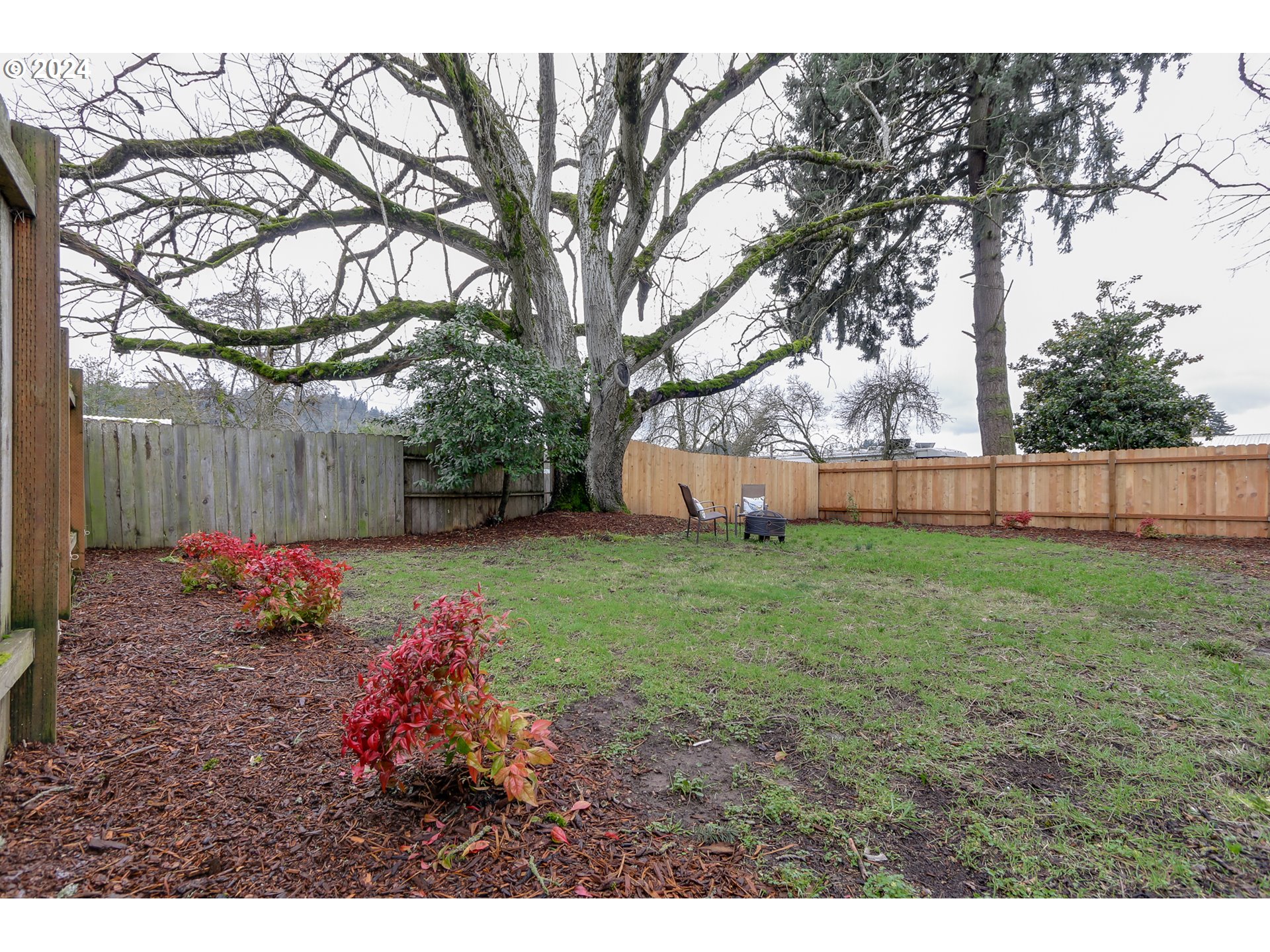 1467 Main Street Springfield, OR 97477 - Photo 29 of 29 a view of a backyard with wooden fence